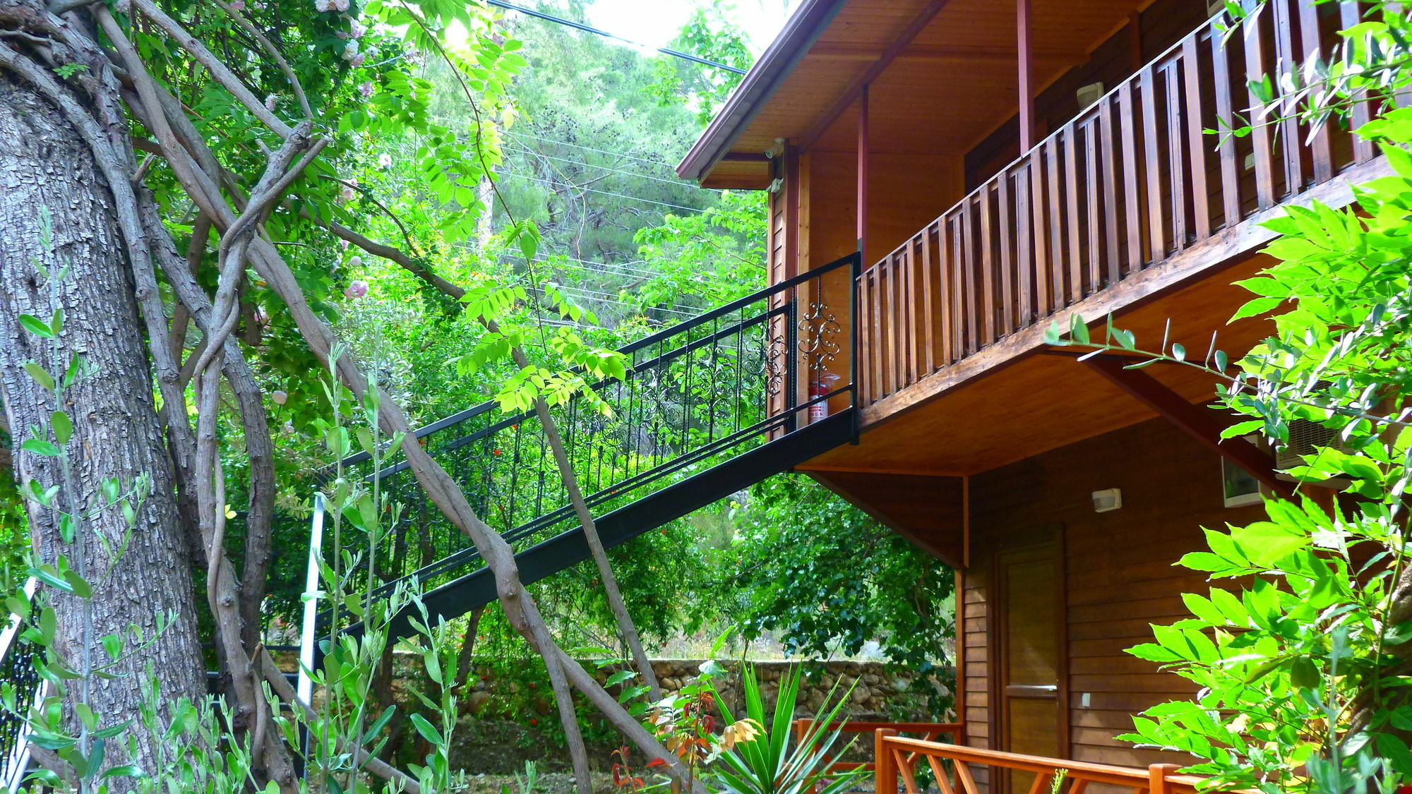 Cirali Simge Holiday Houses Экстерьер фото